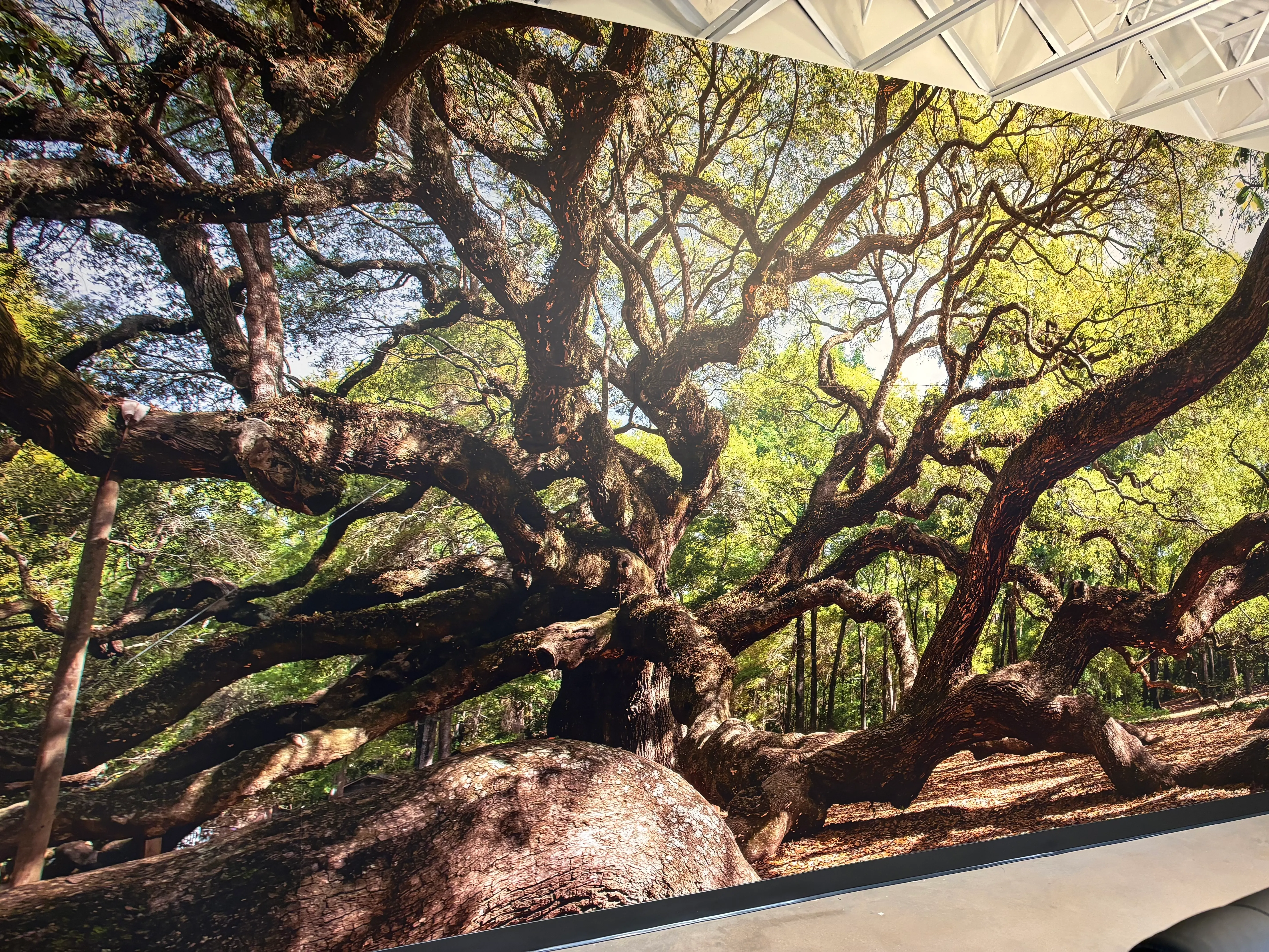 Wallpaper installation by RCO